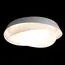 LOFT IT 10256 White Потолочный светильник Petale, изображение 2