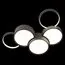 LOFT IT 10317/5 Grey Потолочный светильник Pin, изображение 4