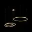 LOFT IT 10017/3S Подвесной светильник Ring, изображение 2