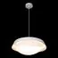 LOFT IT 10256P White Подвесной светильник Petale, изображение 6