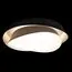 LOFT IT 10256 Black Потолочный светильник Petale, изображение 2