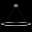 LOFT IT 10014XXL Подвесной светильник Ring, изображение 2