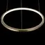 LOFT IT 10014S Подвесной светильник Ring, изображение 4