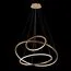 LOFT IT 10015/3 Подвесной светильник Ring, изображение 4