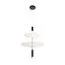 LOFT IT 10244/B Black Подвесной светильник Skylar, изображение 3