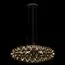 LOFT IT 1898/1000 Chrome Подвесной светильник Raimond, изображение 2