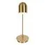 LOFT IT 10144 Gold Настольная лампа Tango, изображение 3