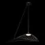 LOFT IT 10127/760 Black Подвесной светильник Tressage, изображение 2