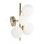 LOFT IT 10236/5W Настенный светильник Tely, изображение 3