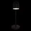 LOFT IT 10144 Black Настольная лампа Tango, изображение 4