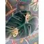 Seletti 00136497; 15091 Настенный светильник Chameleon Going Down USB, изображение 6
