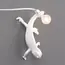 Seletti 00134139; 15092 Настенный светильник Chameleon Going Up USB, изображение 7