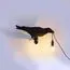Seletti 00127068; 14738 Настенный светильник Bird Looking Right Black, изображение 4