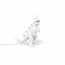 Seletti 00148893; 14763 Настольная лампа T-Rex USB, изображение 3