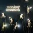 Seletti 00119889; 14923 Подвесной светильник Monkey Lamp Ceiling, изображение 9