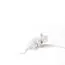 Seletti 00133913; 15222 Настольная лампа Mouse Lamp Lyie Down USB, изображение 2