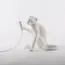Seletti 00119884; 14882 Настольная лампа Monkey Lamp Sitting, изображение 5