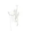 Seletti 00127070; 14925 Настенный светильник Monkey Lamp Outdoor Hanging Right, изображение 3
