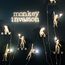 Seletti 00127070; 14925 Настенный светильник Monkey Lamp Outdoor Hanging Right, изображение 10