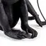 Seletti 00119888; 14922 Настольная лампа Monkey Lamp Sitting, изображение 4