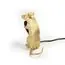Seletti 00133915; 15231 Настольная лампа Mouse Lamp Sitting GOLD USB, изображение 2
