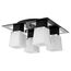 Lussole GRLSC-2507-04 Потолочный светильник Lente