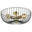 Lussole GRLSP-8251 Потолочный светильник Brooks