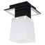Lussole GRLSC-2507-01 Потолочный светильник Lente