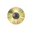 Newport 10851/25 A gold; М0069389 Бра gold
