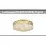 Newport 8249/PL gold NEW; М0067979 Потолочный светильник gold NEW, изображение 4