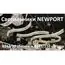 Newport 8243/90 chrome; М0068065 Подвесной светильник chrome, изображение 3