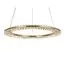 Newport 8241/600 gold NEW; М0066845 Подвесной светильник gold NEW, изображение 3