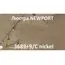 Newport 3689+9/C nickel; М0069627 Люстра nickel, изображение 4