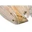Garda Decor K2KG02W-2G Бра 14*43см, изображение 2