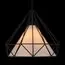 ST LUCE SL233.403.01 Светильник подвесной ST-Luce Черный/Черный, Белый E27 1*60W, изображение 3