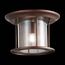 ST LUCE SL080.402.01 Светильник уличный потолочный ST-Luce Темный кофе/Прозрачный, Темный кофе E27 1*60W, изображение 5