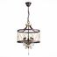 ST LUCE SL789.423.05 Люстра подвесная ST-Luce Темный кофе, Золото/Темный кофе, Золото, Прозрачный E14 5*60W GRASSО, изображение 4