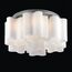 ST LUCE SL116.502.06 Люстра потолочная ST-Luce Серебристый/Белый E27 6*60W, изображение 5
