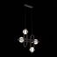 ST LUCE SL1201.403.04 Светильник подвесной ST-Luce Черный/Прозрачный G9 4*5W, изображение 5