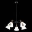 ST LUCE SL237.413.05 Люстра подвесная ST-Luce Черный, Матовое золото/Прозрачный E27 5*60W, изображение 5
