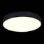 ST LUCE ST606.432.48 Светильник потолочный Черный LED 1*48W 3000K 4 320Lm Ra>85 120° IP20 D400xH55 185-265V, изображение 3