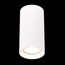 ST LUCE ST155.502.01 Светильник потолочный Белый GU10 1*50W IP20 D70xH140 180-240V Без ламп, изображение 4