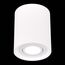 ST LUCE ST156.502.01 Светильник потолочный Белый GU10 1*50W IP20 D100xH120 180-240V Без ламп, изображение 5