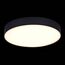 ST LUCE ST606.432.48 Светильник потолочный Черный LED 1*48W 3000K 4 320Lm Ra>85 120° IP20 D400xH55 185-265V, изображение 4