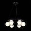 ST LUCE SL1189.403.06 Люстра подвесная ST-Luce Черный/Опал G9 6*5W, изображение 5