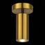 ST LUCE SL1215.402.01 Светильник потолочный ST-Luce Черный, Латунь/Латунь GU10 1*5W 4000K, изображение 3