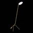 ST LUCE SL1803.205.01 Торшер ST-Luce Золотистый, Черный/Черный E27 1*60W, изображение 5