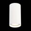 ST LUCE ST157.532.15 Светильник потолочный Белый LED 1*15W 3000K 1 200Lm Ra>90 60° IP44 D75xH140 220-265V, изображение 4