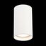 ST LUCE ST157.532.20 Светильник потолочный Белый LED 1*20W 3000K 1 600Lm Ra>90 60° IP44 D95xH150 220-265V, изображение 4