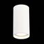 ST LUCE ST157.542.15 Светильник потолочный Белый LED 1*15W 4000K 1 200Lm Ra>90 60° IP44 D75xH140 220-265V, изображение 5